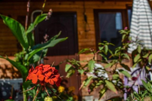 Backyard Apartment Ohrida Exterior foto